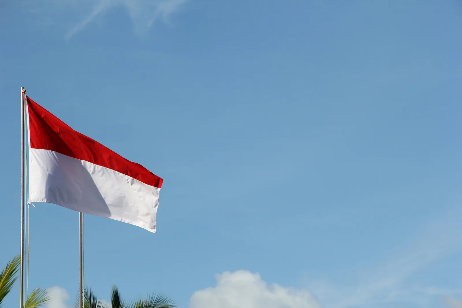 Prabowo Lantik 26 Anggota Wantimpres, Terbanyak dalam Sejarah